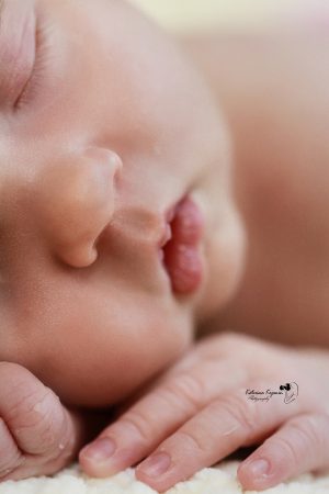 Newborn photography sessions and studio newborn photography comes with posing, props.